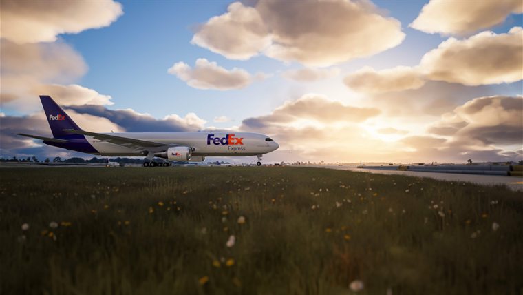 A FedEx 767 freighter on the taxiway in the low sun, wild flowers in the grass in front of it.